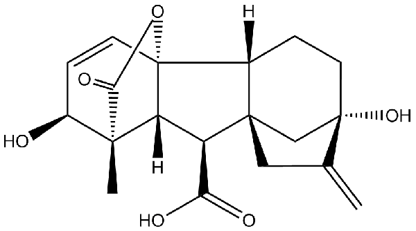 赤霉素GIBBERELLIC ACID，居然有這么神奇？